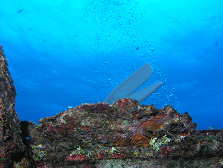 Brac_2004 (61)